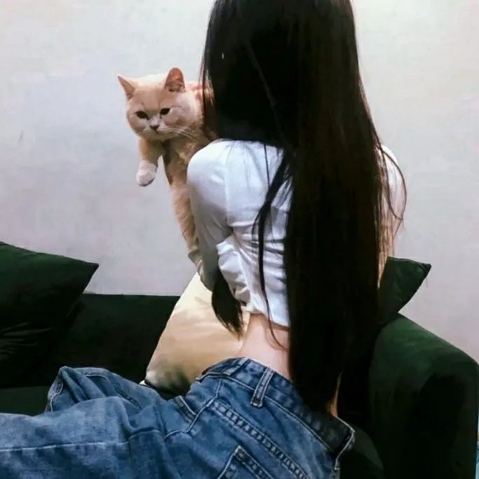 飞侠哥顿的终极冒险